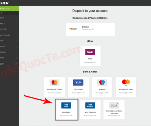 Hướng Dẫn Cách Nạp Tiền Vào Ví Neteller Để Mua Xổ Số Quốc Tế 2022