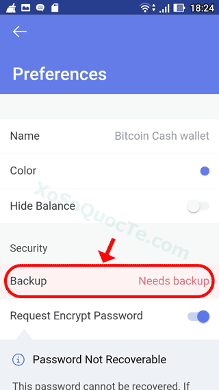 backup_bitpay_3
