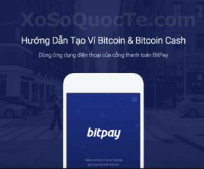 Hướng dẫn tạo ví Bitcoin và Bitcoin Cash dùng cổng thanh toán BitPay