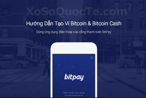 Bitpay bitcoin cash litecoin over 1000