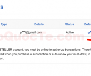 Hướng Dẫn Cách Tích Hợp Thẻ Visa Debit hoặc Mastercard vào TheLotter